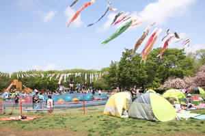 anderusenkouen 075.jpg